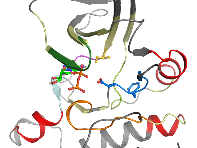 The orthosteric binding pocket