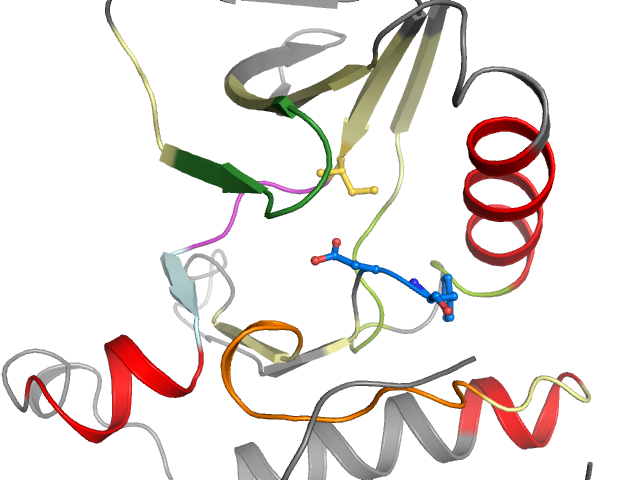 The orthosteric binding pocket