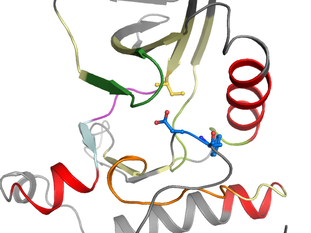 The orthosteric binding pocket