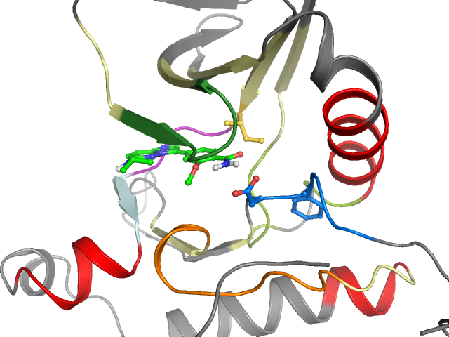 The orthosteric binding pocket