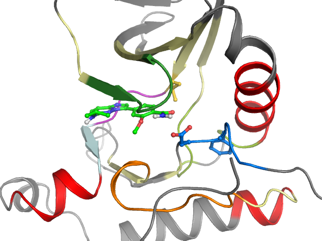 The orthosteric binding pocket