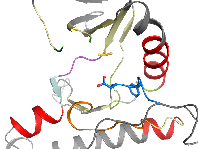 The orthosteric binding pocket