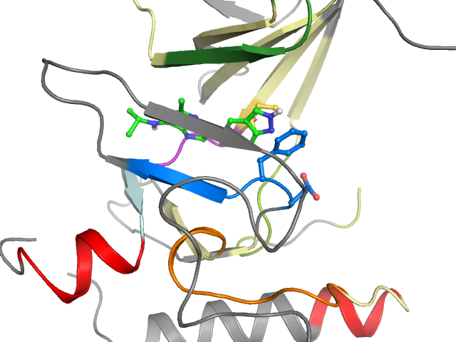 The orthosteric binding pocket