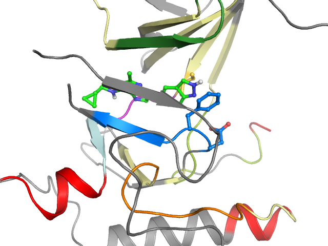 The orthosteric binding pocket