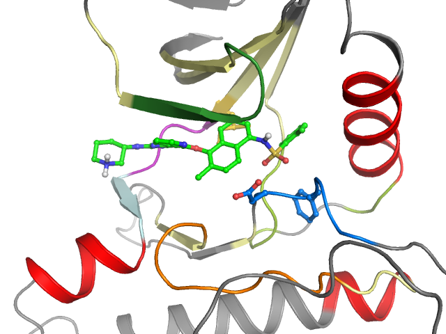 The orthosteric binding pocket
