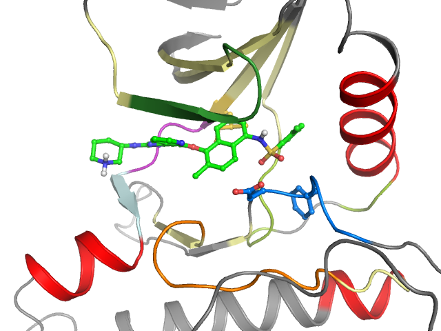 The orthosteric binding pocket