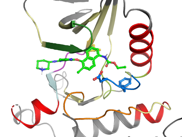 The orthosteric binding pocket