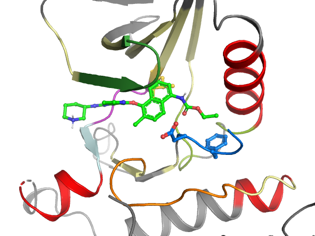 The orthosteric binding pocket