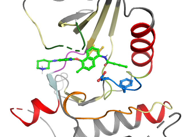 The orthosteric binding pocket