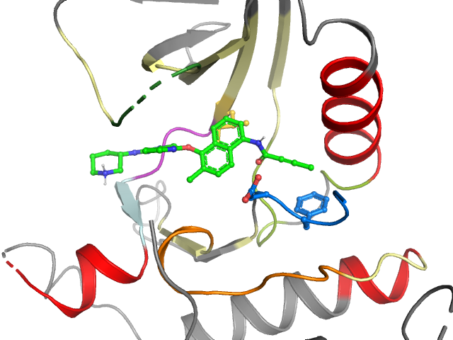 The orthosteric binding pocket