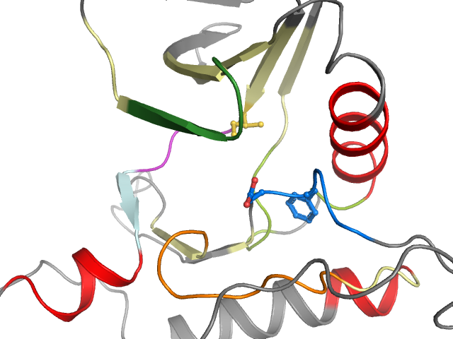 The orthosteric binding pocket