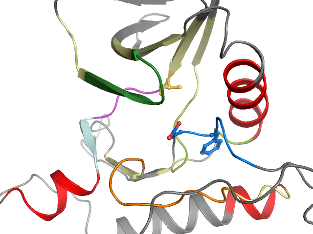 The orthosteric binding pocket