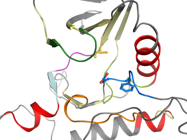 The orthosteric binding pocket