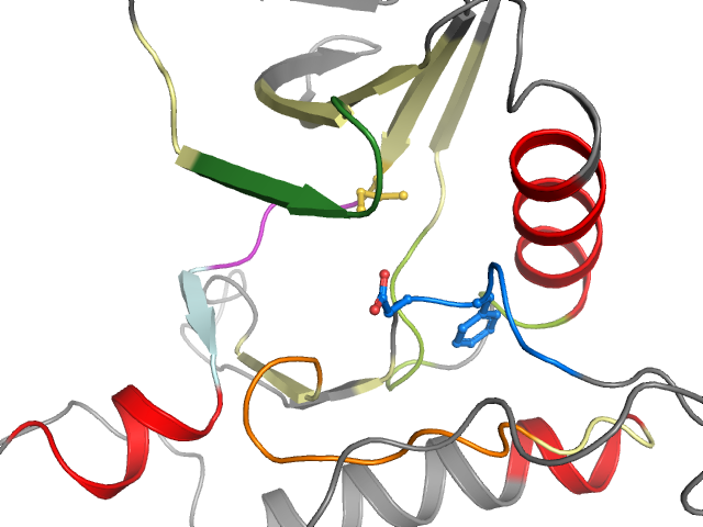 The orthosteric binding pocket