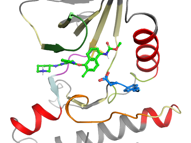 The orthosteric binding pocket
