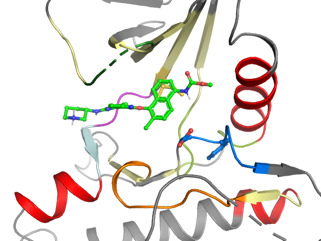 The orthosteric binding pocket