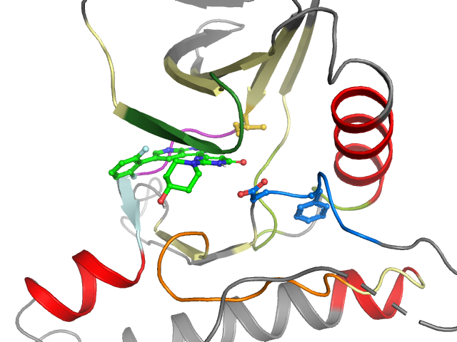 The orthosteric binding pocket