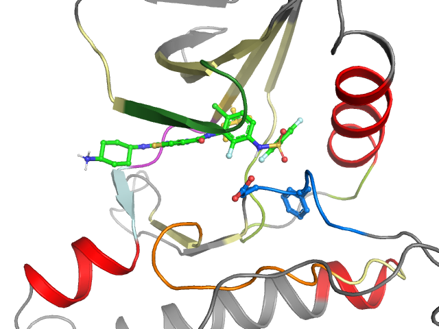 The orthosteric binding pocket