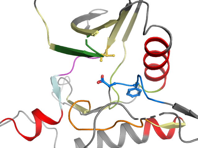 The orthosteric binding pocket