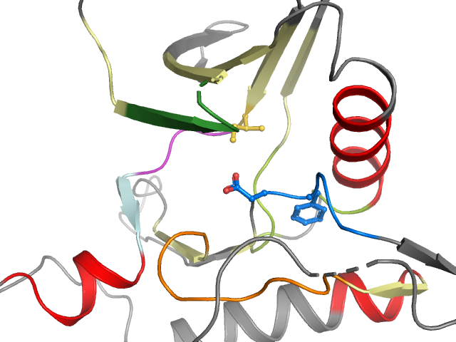 The orthosteric binding pocket