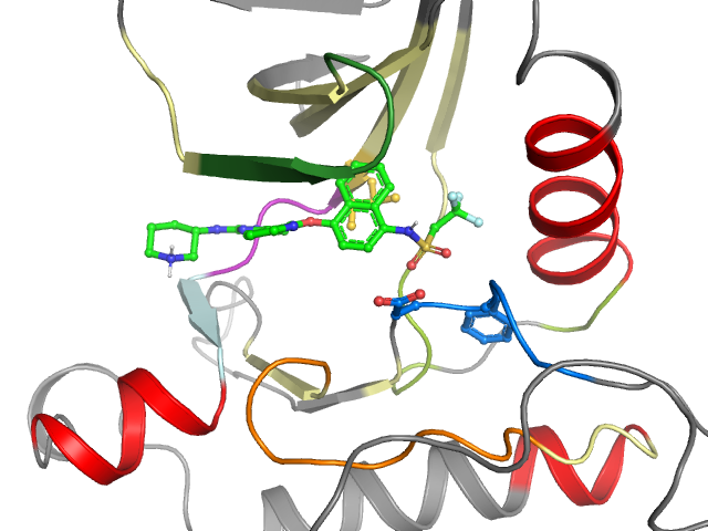 The orthosteric binding pocket
