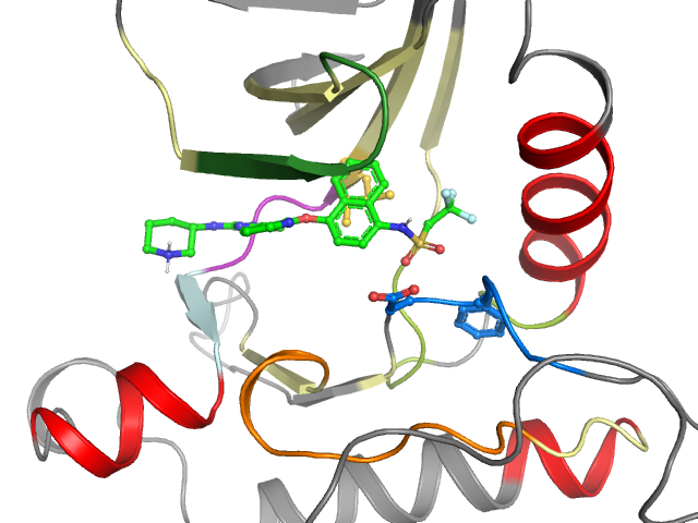 The orthosteric binding pocket