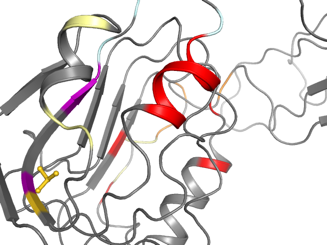 The orthosteric binding pocket