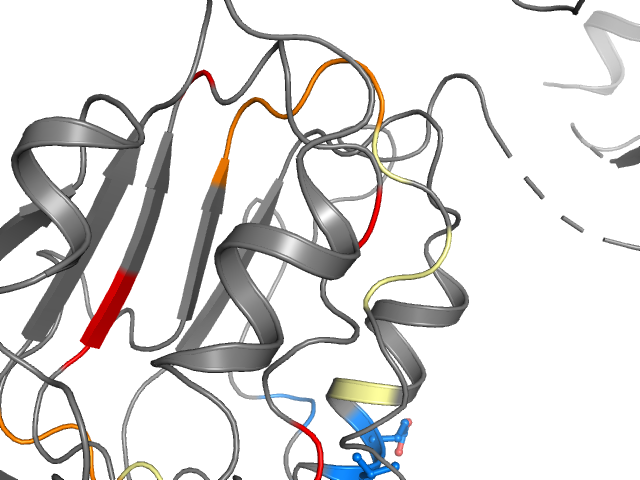 The orthosteric binding pocket