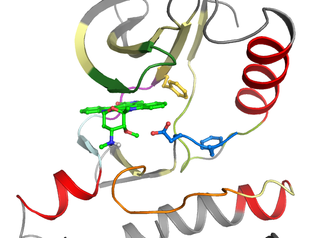 The orthosteric binding pocket