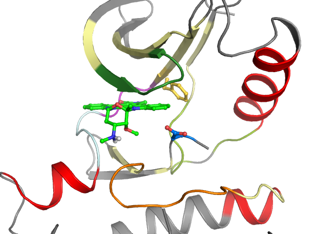 The orthosteric binding pocket