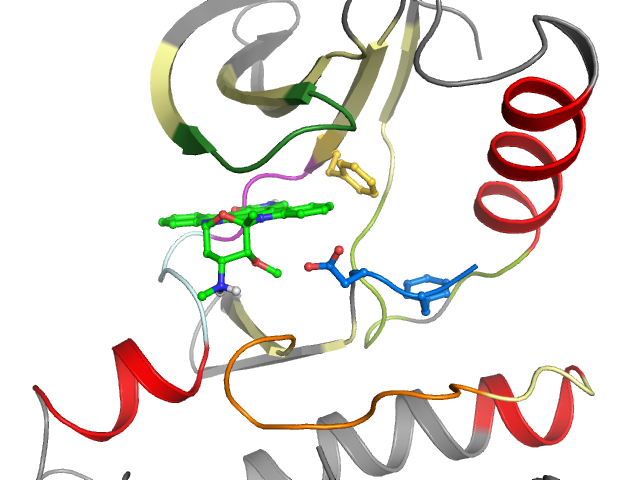 The orthosteric binding pocket