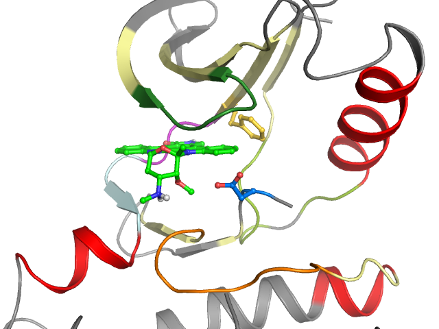 The orthosteric binding pocket