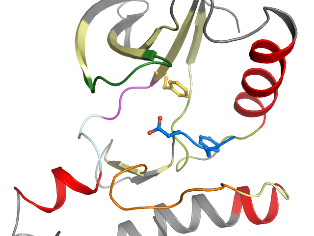 The orthosteric binding pocket