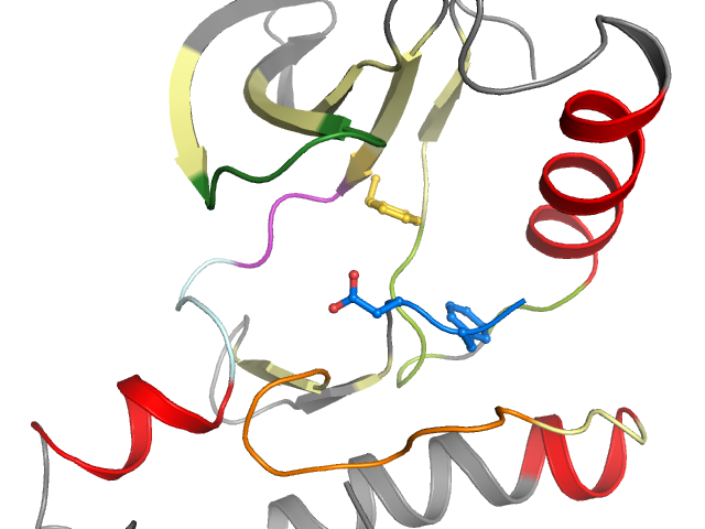The orthosteric binding pocket