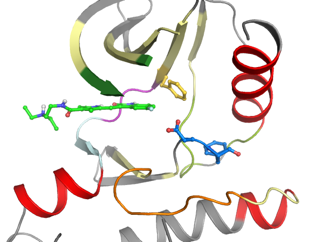 The orthosteric binding pocket