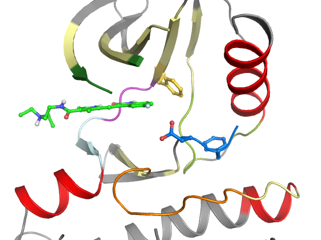 The orthosteric binding pocket