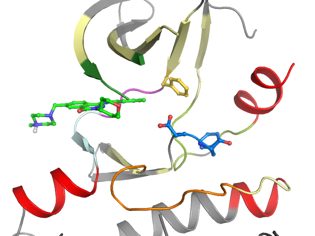 The orthosteric binding pocket