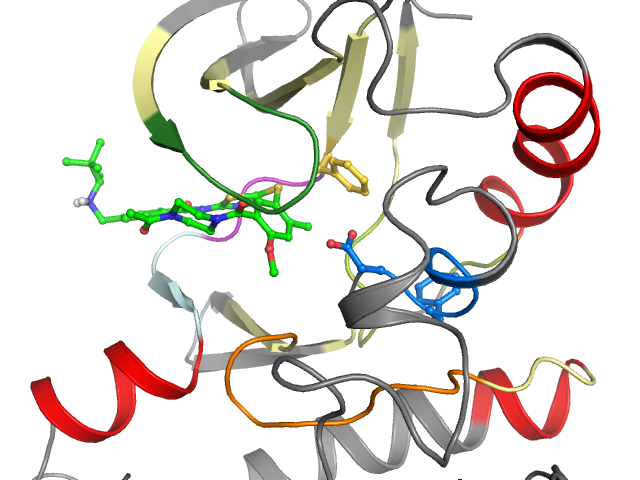 The orthosteric binding pocket