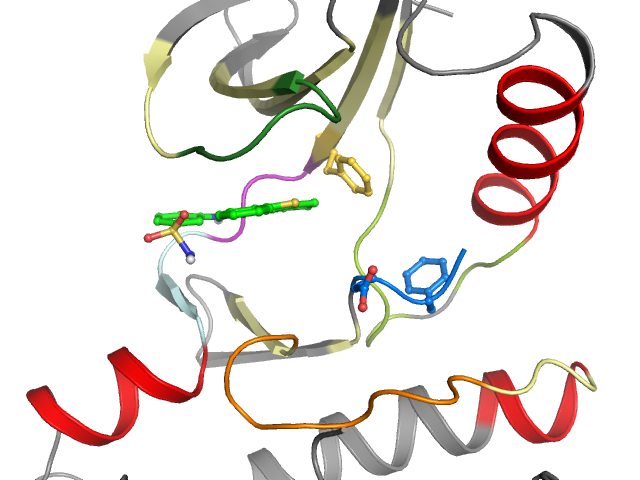 The orthosteric binding pocket