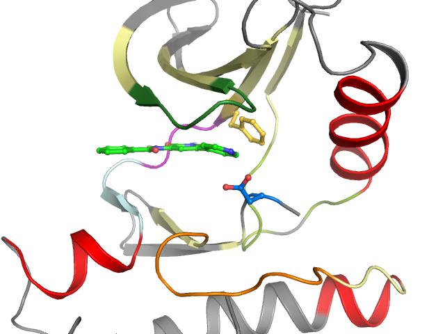 The orthosteric binding pocket