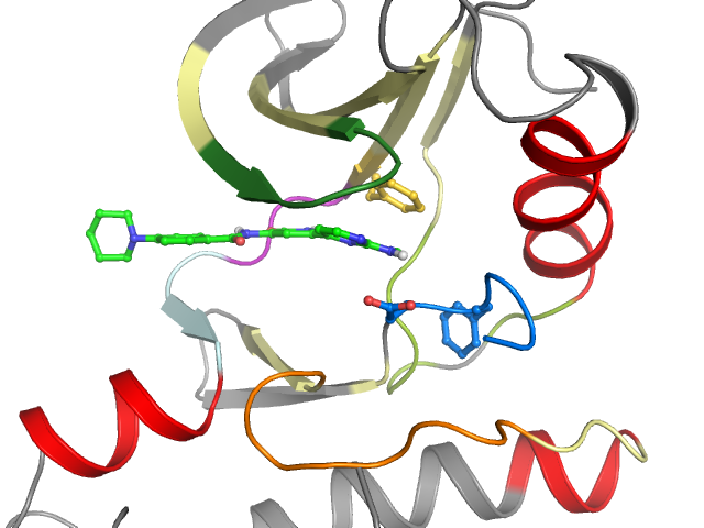The orthosteric binding pocket