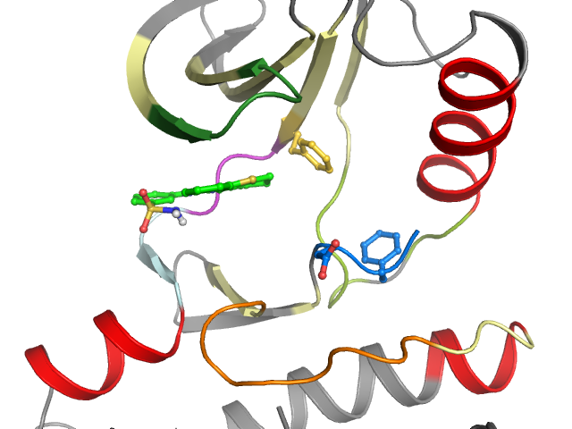 The orthosteric binding pocket