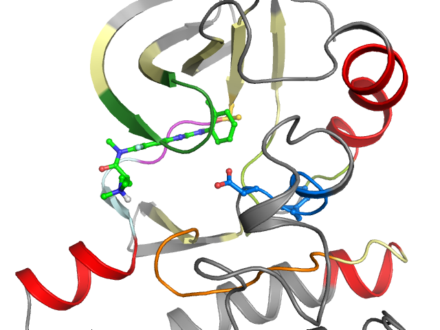 The orthosteric binding pocket