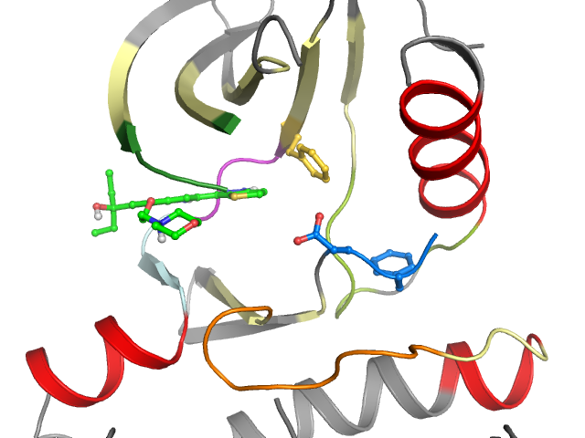 The orthosteric binding pocket