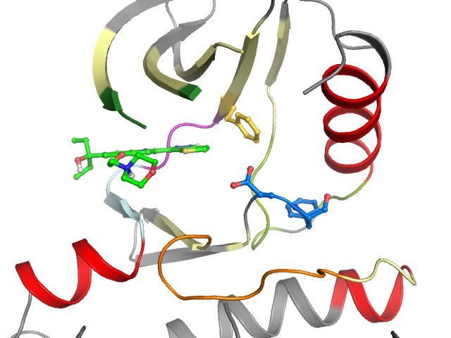 The orthosteric binding pocket