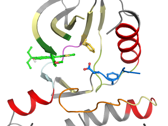 The orthosteric binding pocket