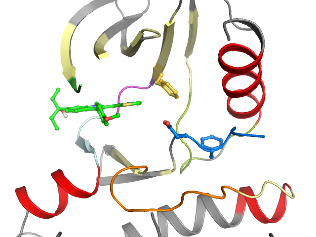 The orthosteric binding pocket