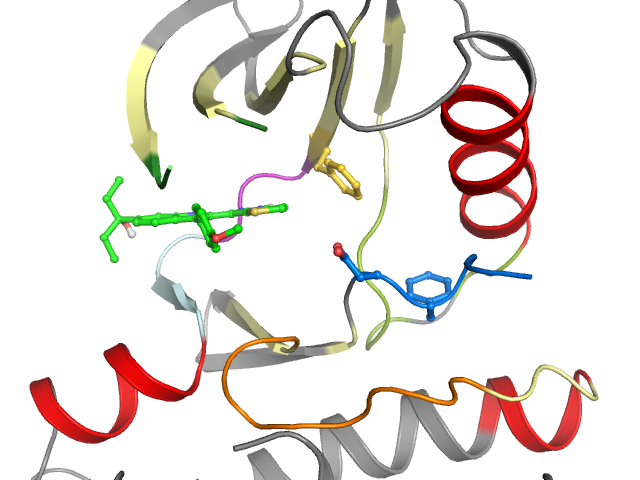 The orthosteric binding pocket
