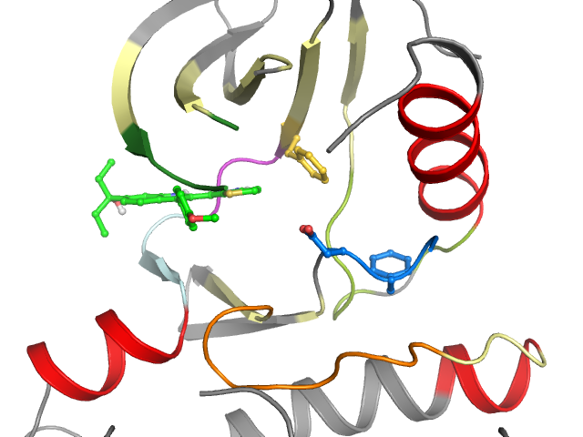 The orthosteric binding pocket