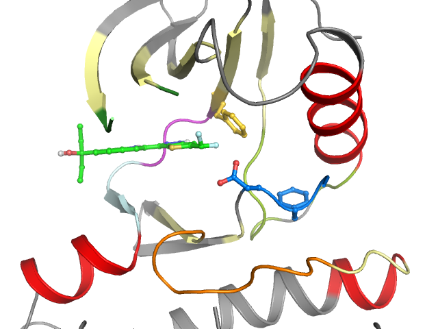 The orthosteric binding pocket